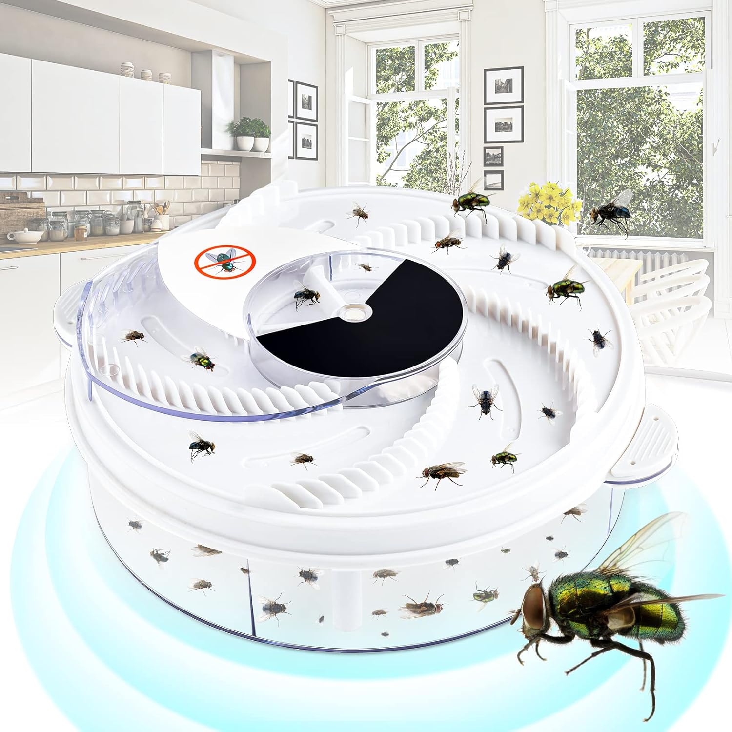 Fly Catcher